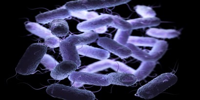Infection Prevention - GERMS: The Chain of Infection